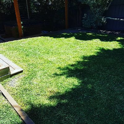 Let Tash the Garden Elf take care of your garden for you.