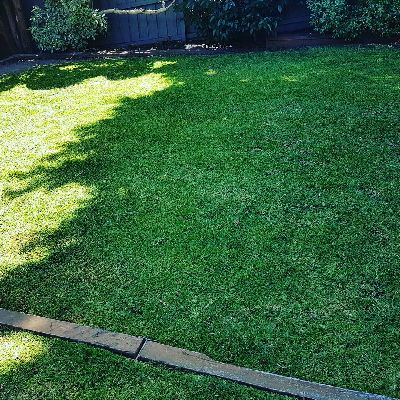 Tash the Garden Elf can sort out all your lawn mowing needs.