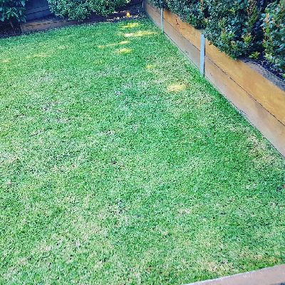 Servicing Frankston and all surrounding suburbs.