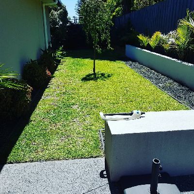 Ask the Garden Elf what she can do for you.